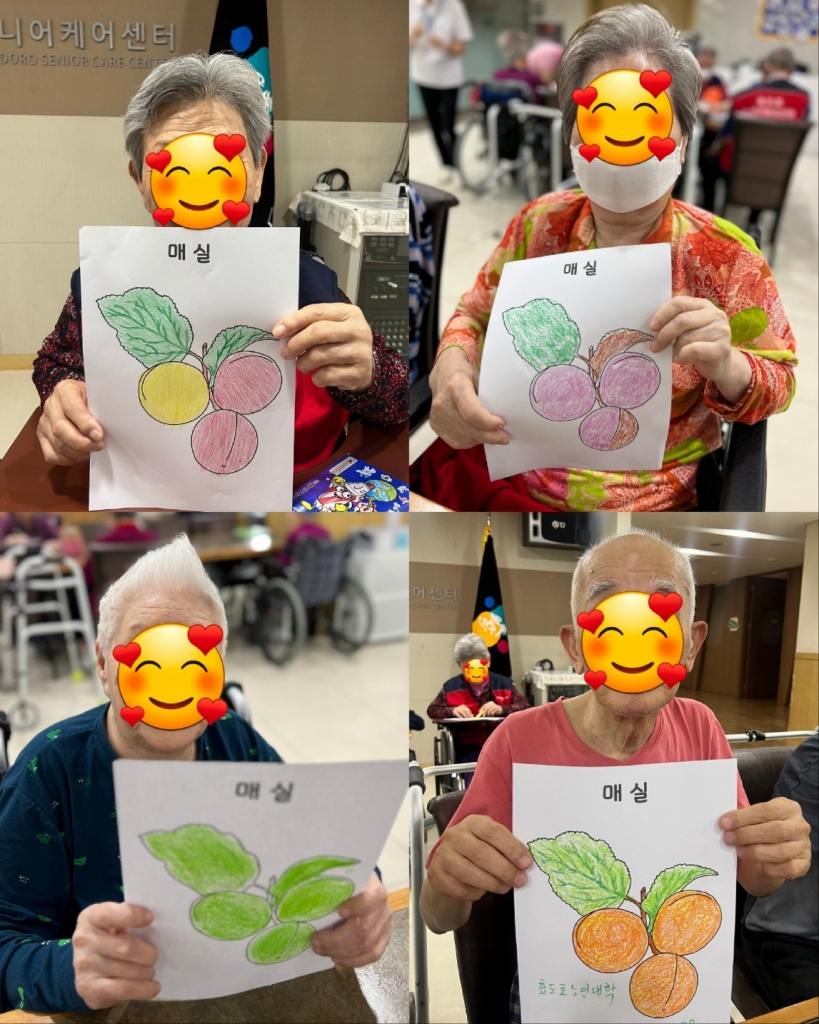 효도로 대학 <매실 색칠하기>